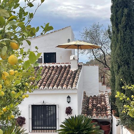 Casa Del Limon Apartment Canillas de Aceituno ภายนอก รูปภาพ