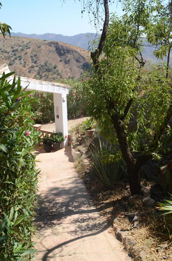 Casa Del Limon Apartment Canillas de Aceituno ภายนอก รูปภาพ