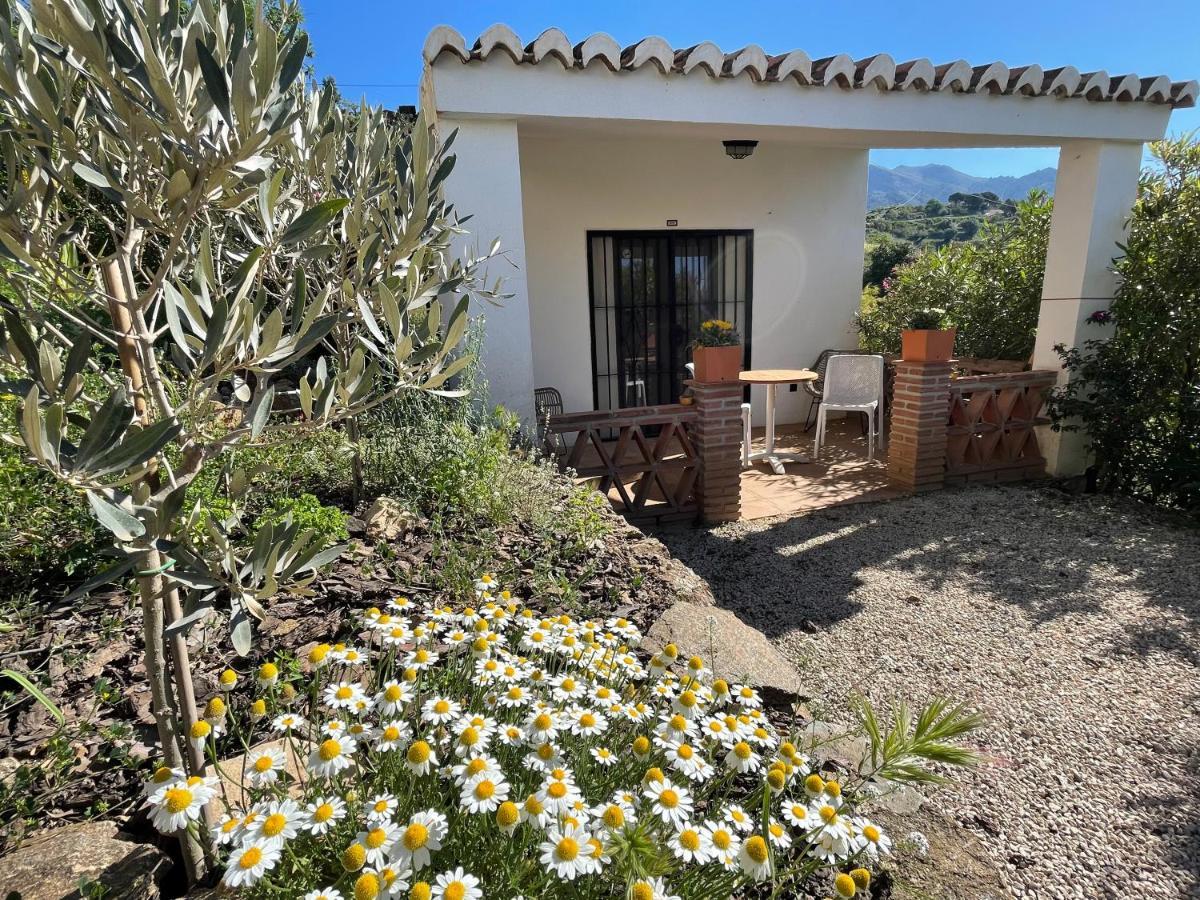 Casa Del Limon Apartment Canillas de Aceituno ภายนอก รูปภาพ