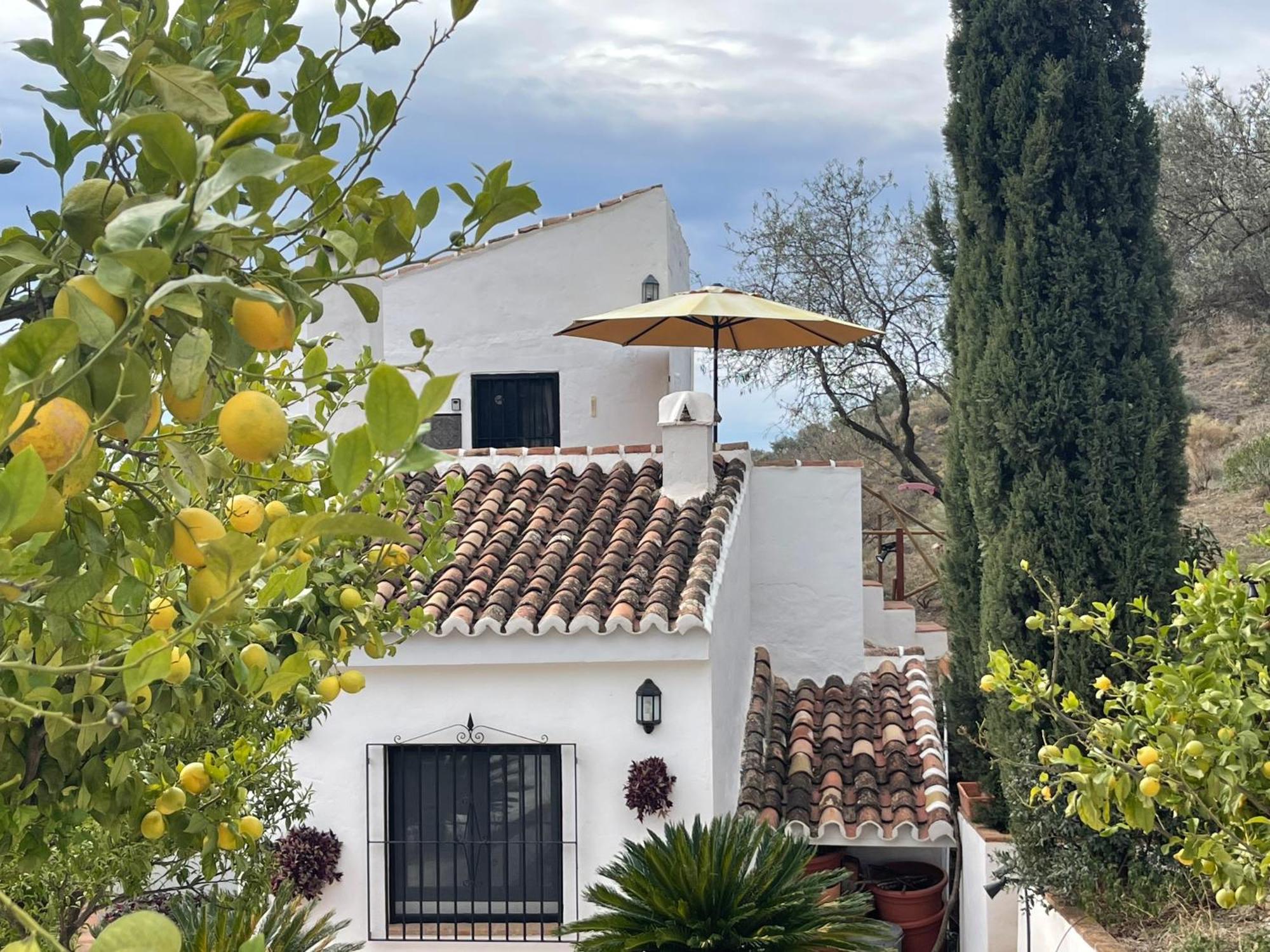 Casa Del Limon Apartment Canillas de Aceituno ภายนอก รูปภาพ